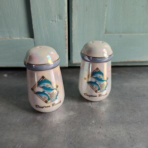 Daytona Beach Iridescent Souvenir Salt And Pepper Shaker Set